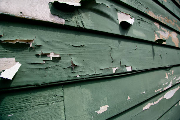 Terra Alta, WV Junk Removal Company